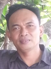 I Wayan Nuarsa I Wayan Nuarsa